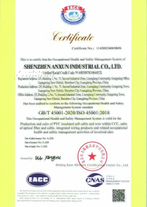 ISO45001職業(yè)健康安全管理體系英文