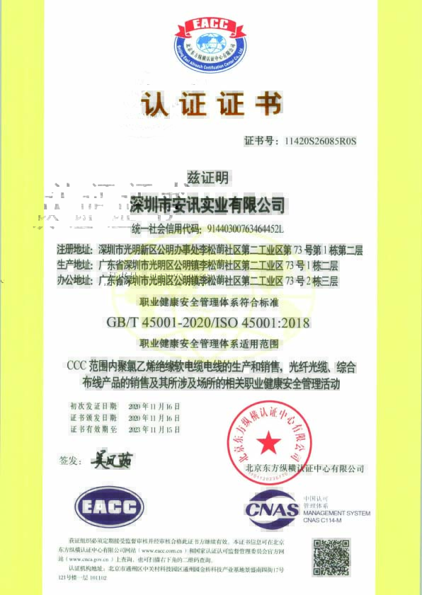 ISO54001職業(yè)健康安全管理體系中文